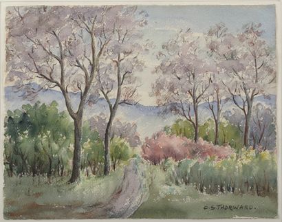 Clara Schafer THORWARD (1887-1969)
.
Paysage...