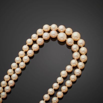 null Collier composé de deux rangs de perles de culture en chute, le fermoir en or...