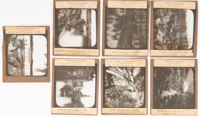 null Set of seven positive stereoscope glass plates published by Lévy et ses Fils,...