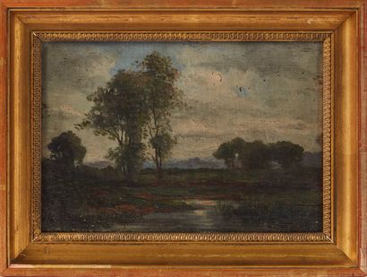 null 20th century French school.
Trees by the pond.
Oil on panel (slightly cracked...