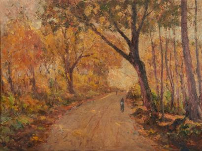 null Adolphe Rey (1863-1944). 
Glade.
Oil on canvas signed lower right. 
Height :...