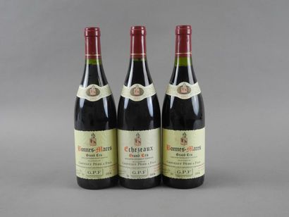 null Ensemble de 3 bouteilles : 1 bouteille ECHEZEAUX, Grivelet P&F 1993 / 2 bouteilles...