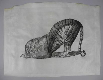 Paul JOUVE (1878-1973) Panthère, gravure en noir sur parchemin, signée et annotée...