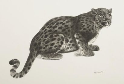 D'après Georges Lucien GUYOT (1885 - 1973) Jaguar Gravure en noir, signée dans la...