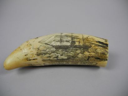 null Scrimshaw / Whaling in the artic / Long. : 16,5 cm