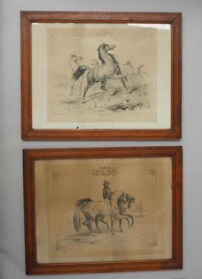 null D'après V.ADAM, "Chevaux Espagnols" et "L'Approche du danger", 2 gravures