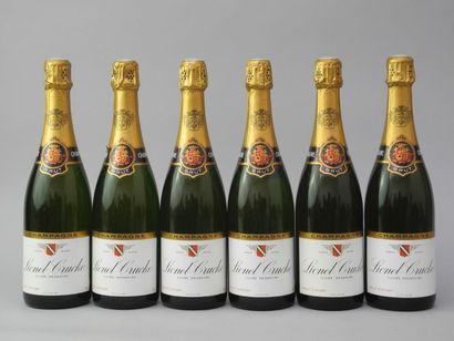 null 6 Bouteilles CHAMPAGNE Lionel Crucke (LB)
