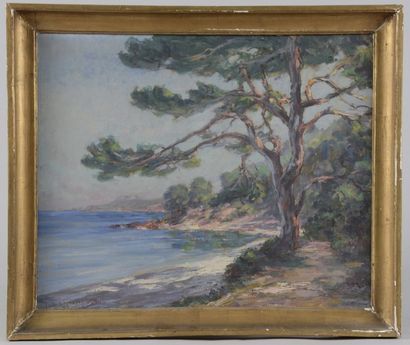 Gaston LEENAERTS (né en 1884) Plage de méditerranée bordée de pins. Huile sur toile...