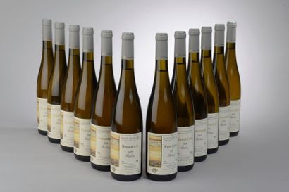 12 bouteilles RIESLING 