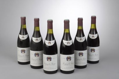 null 6 bouteilles SAVIGNY-LES-BEAUNE Doudet-Naudin 1989 (els)