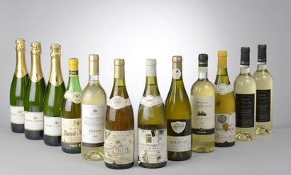 null Ensemble de 12 bouteilles de vins blancs divers dont Puligny