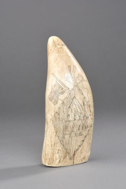 null «Scrimshaw» réalisé dans une dent de Grand Cachalot (Physeter macrocéphales)...