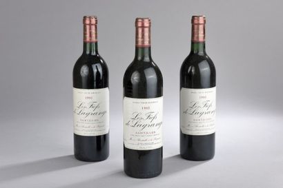null 3 bouteilles Les Fiefs de Lagrange, Saint-Julien 1988