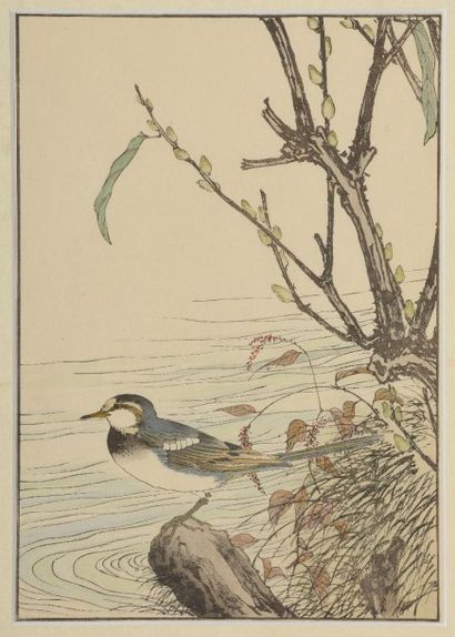 null Keinen IMAO dit KEINEN (1845-1924). Oiseaux dans des paysages. Cinq estampes...