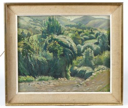 null AB 36. Chemin dans un paysage vallonné. Huile sur toile. Haut. : 44,5 cm - Larg....