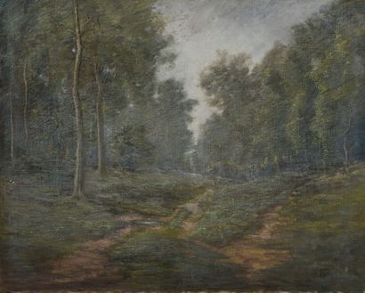 null Ecole du XIXe siècle. Chemin en forêt. Huile sur toile signée en bas à droite...