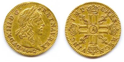 LOUIS XIII 1610-1643 Demi-louis d'or à la...