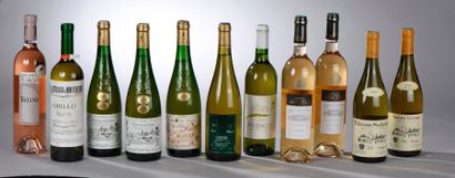 null 11 bouteilles VINS BLANCS ET ROSÉS DIVERS (1 Bergerac blanc, 1 Sicilien blanc,...
