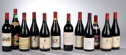 null 12 bouteilles VINS ROUGES DIVERS (Bourgueil, Châteauneuf, Corbières, etc)