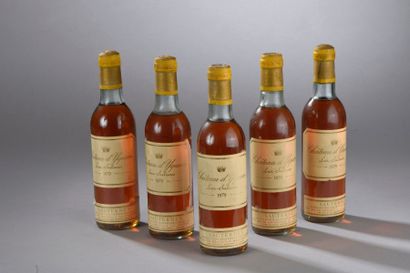 null 5 demi-bouteilles Château D'YQUEM, 1er cru supérieur Sauternes 1979 (es, 4TLB,...