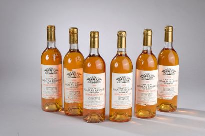 null 6 bouteilles Château SIGALAS-RABAUD, 1° cru Sauternes 1986 (ela, 2 J dont 1...