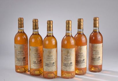null 6 bouteilles Château de MALLE, 2° cru Sauternes 1989 (es, et)