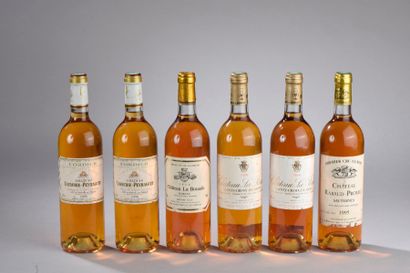 null Ensemble de 6 bouteilles : 1 bouteille Château RABAUD PROMIS, 1° cru Sauternes...