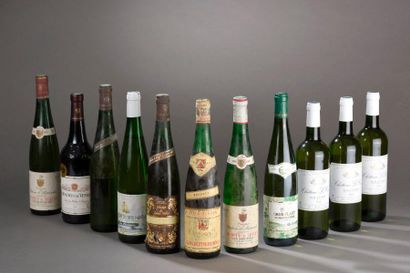 11 bouteilles VINS BLANCS DIVERS (dont SGN...