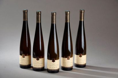 9 bouteilles RIESLING 