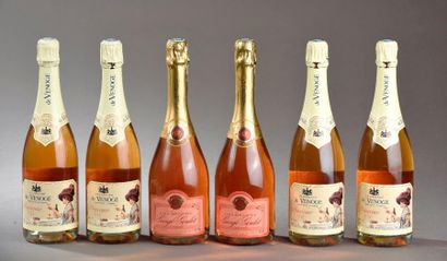 6 bouteilles CHAMPAGNE Rosé, (vieux, bons...