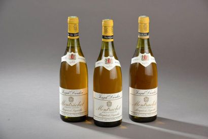 null 3 bouteilles MONTRACHET, "Marquis de Laguiche", J. Drouhin 1986 (es, 1 TLB)...