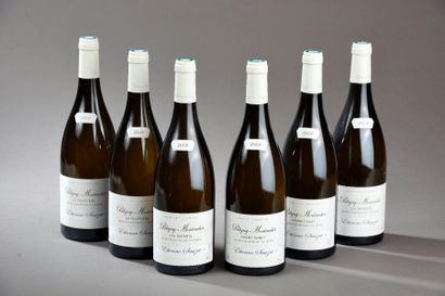 null Ensemble de 6 bouteilles : 2 bouteilles PULIGNY-MONTRACHET "La Truffière", E....