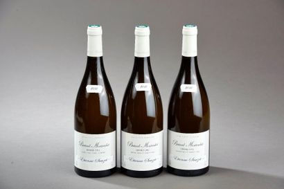 null 3 bouteilles BÂTARD-MONTRACHET, E. Sauzet 2010