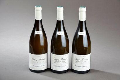 null Ensemble de 3 bouteilles : 2 bouteilles PULIGNY-MONTRACHET "hameau de Blagny",...