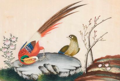null Ecole Chinoise du XIXe. Fleurs, insectes, poissons et personnages. Environ douze...