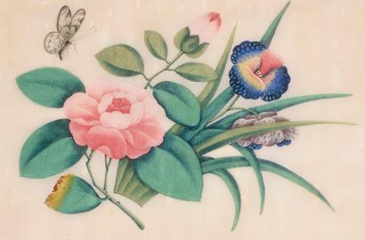 null Ecole Chinoise du XIXe. Fleurs, insectes, poissons et personnages. Environ douze...