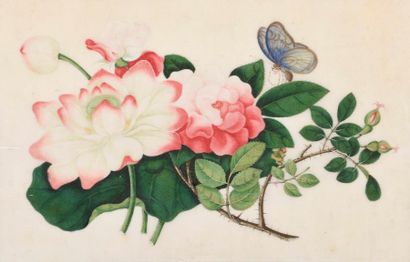 null Ecole Chinoise du XIXe. Fleurs, insectes, poissons et personnages. Environ douze...