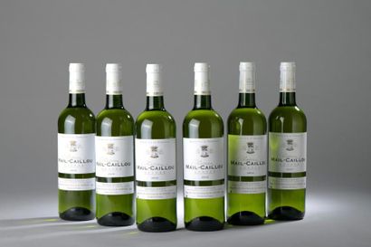 null 6 bouteilles Château MAIL-CAILLOU, Graves 2015 (blanc).