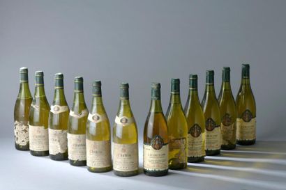 null 12 bouteilles CHABLIS Grivelet (6 tasteviné 1990, 1 LB, eta, 3 de 84 ea, 1 MB,...