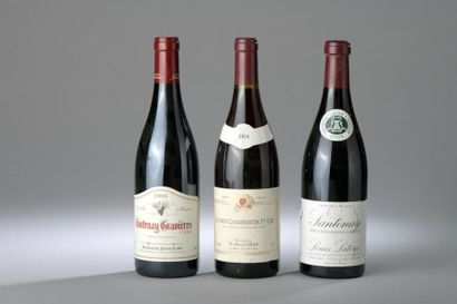 null 3 bouteilles BOURGOGNE (Santenay Gravières 2008, Santenay 2006, Gevrey 2008...