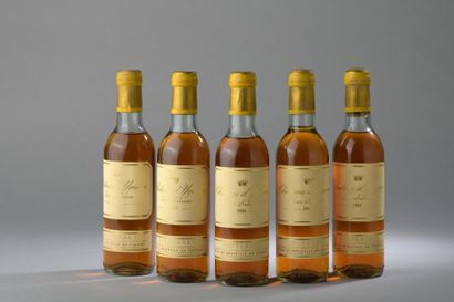 null 5 demi-bouteilles Château D'YQUEM, 1° cru supérieur Sauternes 1981 (2 TLB, 2...