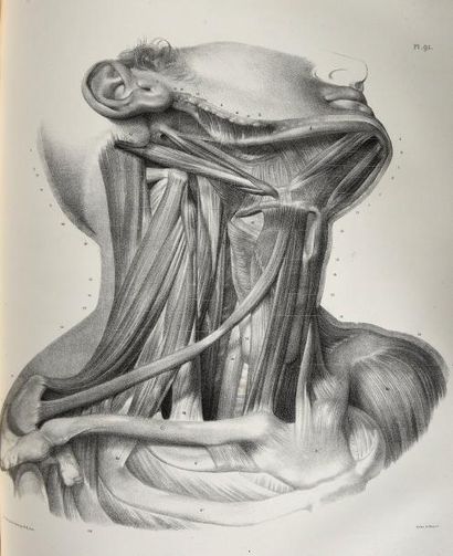null Jean-Baptiste BOURGERY, Nicolas-Henri JACOB. Traité complet de l'anatomie de...