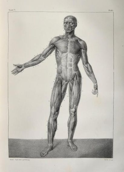 null Jean-Baptiste BOURGERY, Nicolas-Henri JACOB. Traité complet de l'anatomie de...