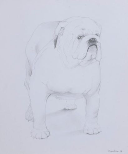 null Bernadette KANTER (née en 1950).

Bulldog.

Dessin au crayon signé en bas à...