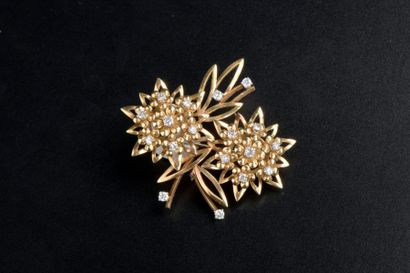 null Broche en or jaune 18K ajouré de deux fleurs sur fond de feuillage et griffé...