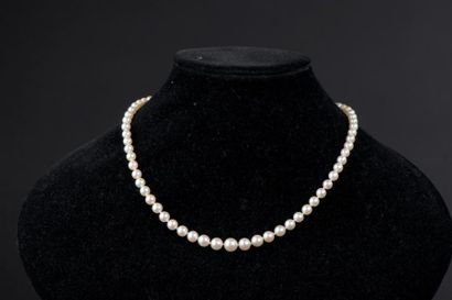 null Collier à deux rangs de perles de culture, l'un de cinquante-quatre perles,...