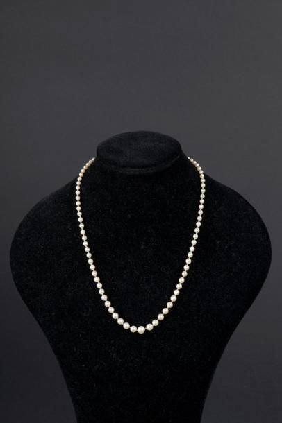 null Collier de quatre-vingt-deux perles de culture en chute.

Long. : 56 cm