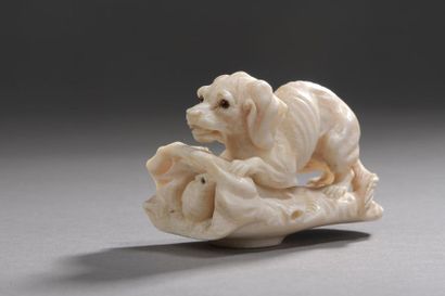 null Pommeau de canne en ivoire (elephantidae spp) sculpté d'un chien de chasse à...