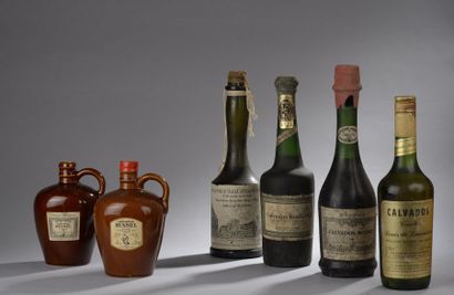 null 6 bouteilles CALVADOS (Comte de Lauriston, Bizouard du Breuil, 2 Boulard Hors...