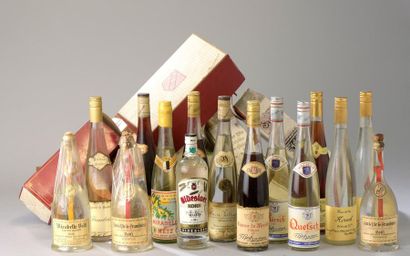 null 16 bouteilles EAU-DE-VIE et LIQUEUR (Quetsche, Myrtille, Poire William's, etc)...